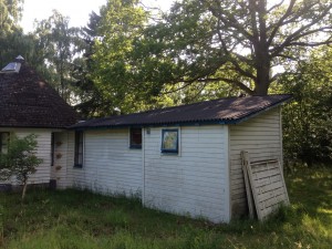 IMG_0001